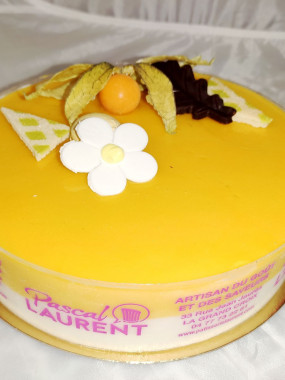 //Entremets Glacé exotique 8/10 Pers.